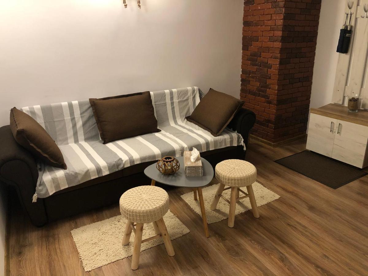 Cozy Central Apartment Брашов Экстерьер фото